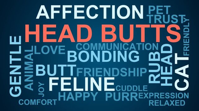 Head Butts Word Cloud