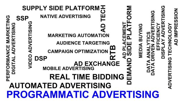 Programmatic Advertising Word Cloud