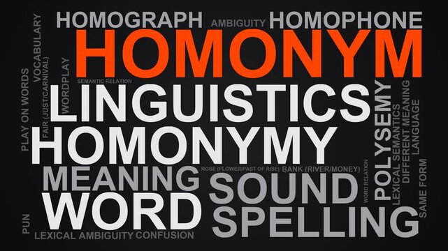 Homonym Word Cloud