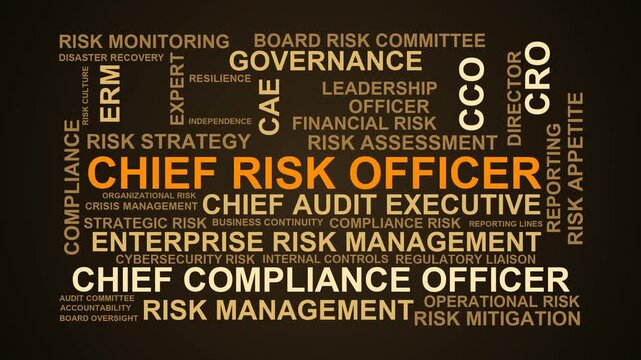 Chief Risk Officer Word Cloud