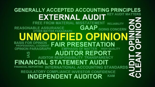 Unmodified Opinion Word Cloud