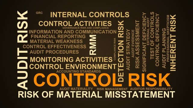 Control Risk Word Cloud
