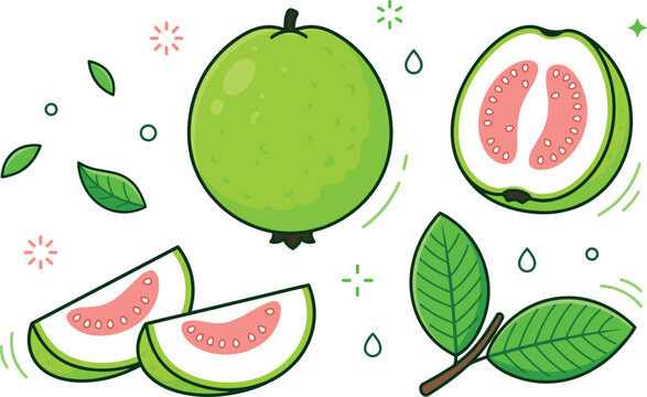 Green guava tropical fruit vector illustration set with whole pink guava half sliced wedges and fresh leaves elements