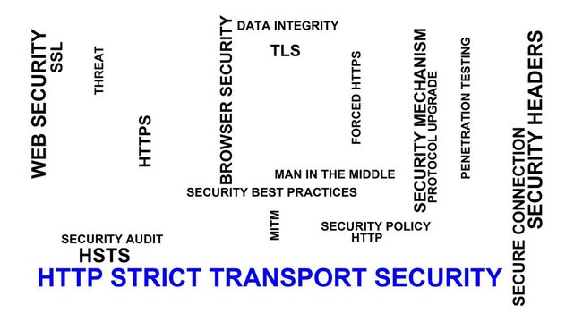 Http Strict Transport Security Word Cloud