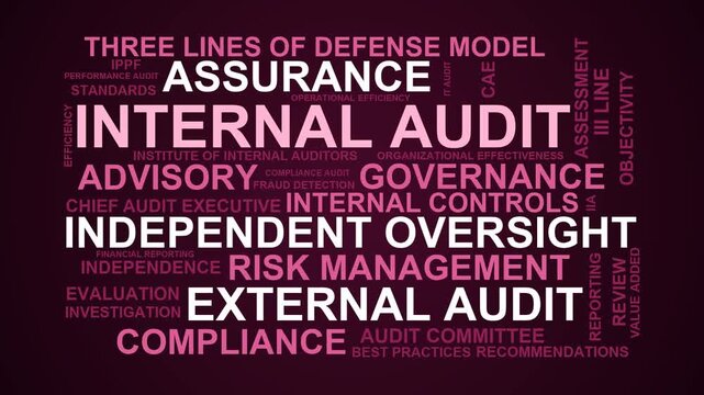 Internal Audit Word Cloud