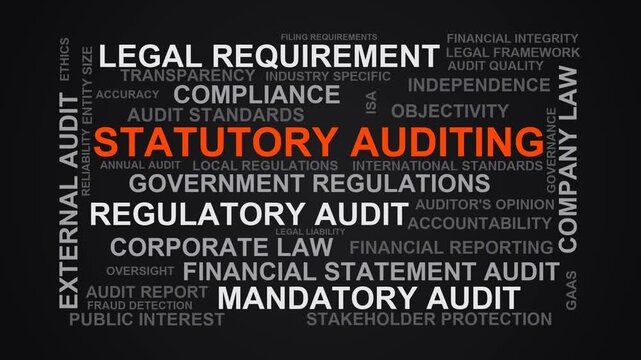 Statutory Auditing Word Cloud
