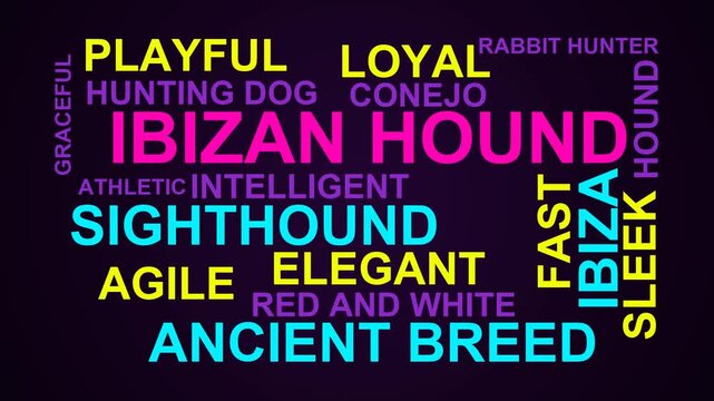 Ibizan Hound Word Cloud
