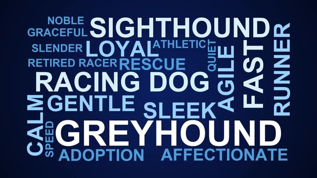 Greyhound Word Cloud