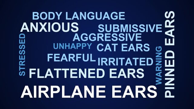 Airplane Ears Word Cloud
