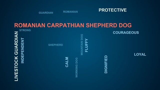 Romanian Carpathian Shepherd Dog Word Cloud