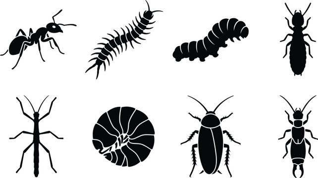 Set of black silhouettes of crawling insects, bugs, and creepy crawly arthropods
