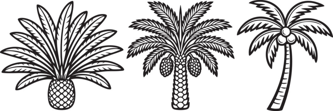 Tropical palm trees set with sago palm cycad, date palm with dates fruit and coconut tree vector line art isolated on white