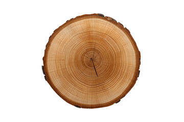 Obraz premium Natural log cross section showing bark and fine cracks