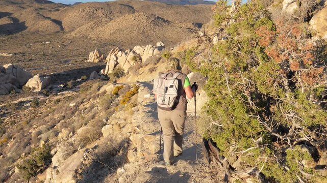 Female hiker with backpack and trekking poles is walking down a rocky trail in vast desert landscape during sunny day, showcasing an active and adventurous lifestyle. Hiking in national parks