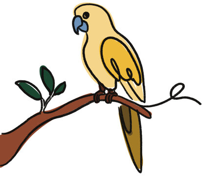 vector illustration of a parrot