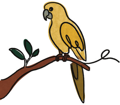 vector illustration of a parrot