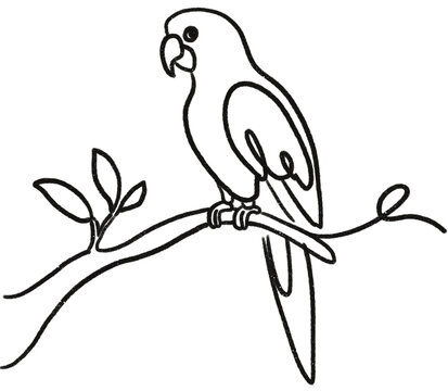 vector illustration of a parrot