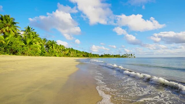 A walk along a wild, palm-lined Bahamian beach with soft sand and warm ocean waters. Gentle waves lapping at golden sand. A summer tropical day. Paradise on earth. Travel and seaside relaxation.