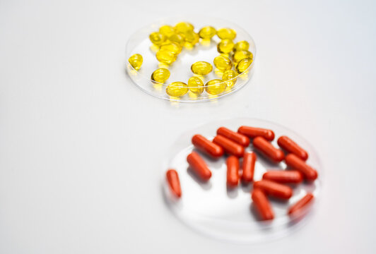 Different Types of Pills and Capsules Arranged on Petri Dishes