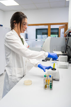 Scientist Works in Laboratory With Test Tubes and Equipment