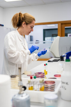 Scientist Conducts Research in Laboratory During Daytime