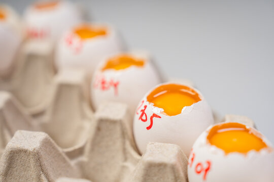 Eggs With Broken Shells and Orange Yolks in a Carton In A Laboratory