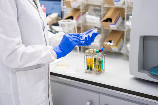Scientist Working With Test Tubes in a Laboratory Setting