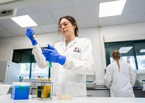 Scientist Works in Laboratory With Various Samples and Equipment