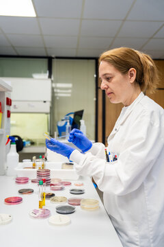Scientist Working in Laboratory With Petri Dishes in Evening