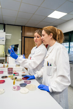 Scientists Analyze Samples in a Laboratory Setting