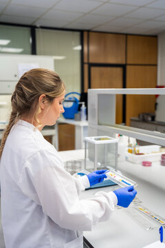 Scientist Conducts an Experiment in a Laboratory Setting