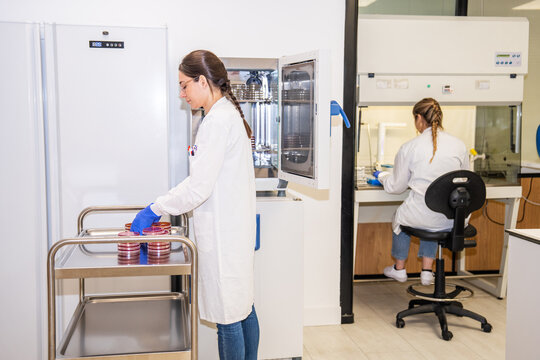 Scientists Working in a Lab With Equipment and Samples