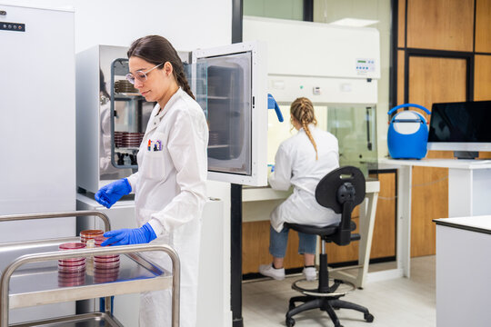 Lab Technicians Working in a Modern Laboratory Setting