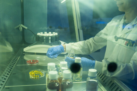 Scientist Works in Laboratory With Bottles and Samples