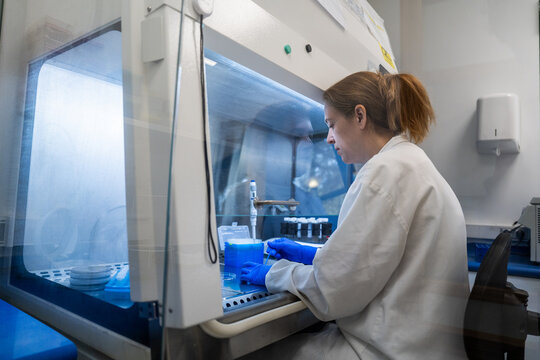 Scientist Working in Lab With Safety Equipment and Samples