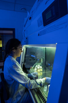 Scientist Works in Laboratory Under Blue Light