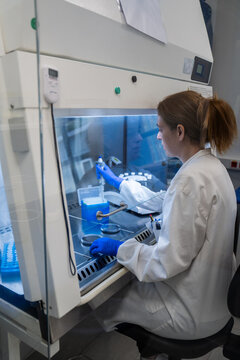 Scientist Conducts Experiment in Lab Using Safety Equipment