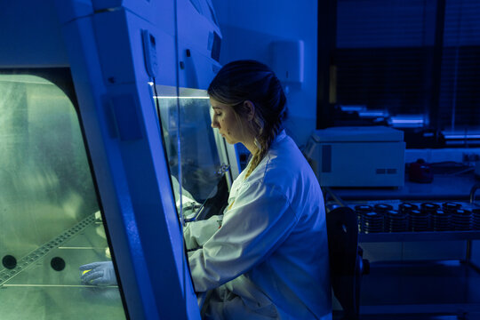 Scientist Working in Laboratory Under Blue Light