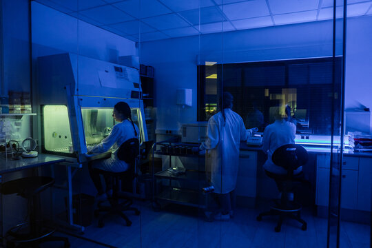 Lab Workers Conduct Research in a Blue-Lit Laboratory at Night