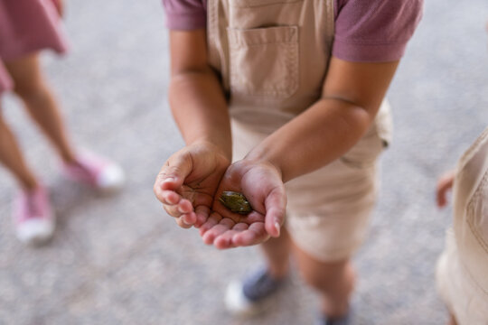 Un child whose face is not visible holding a small green frog between