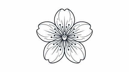 Obraz premium A detailed black and white line art illustration of a five petaled cherry blossom flower with against plain background