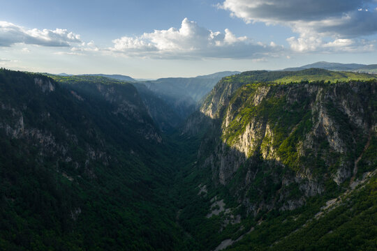 Deep Forested Canyon in Durmitor National Park