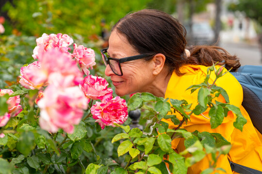 woman smelling pink flowers