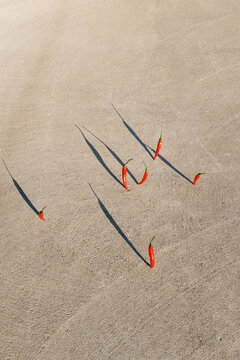 Conceptual image of hot and spicy chilis growing from concrete surface