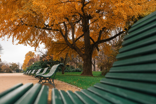 Autumn park in Paris
