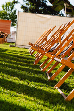 Empty Deck Chairs Lined Up on a Sunny Lawn