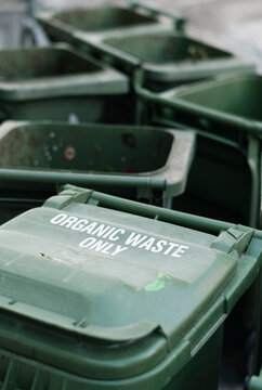 Organic waste bins