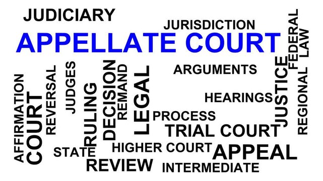 Appellate Court Word Cloud
