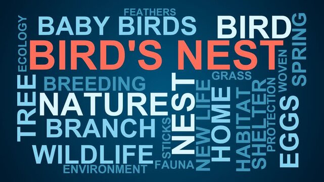 Bird'S Nest Word Cloud