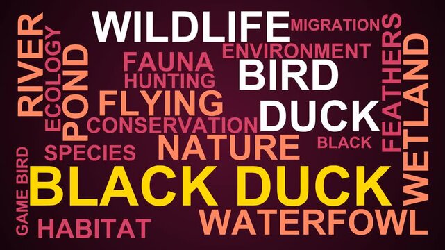 Black Duck Word Cloud